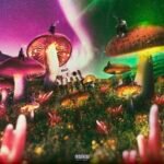 I’M KEVON “PRPLWRLD” OUT NOW!