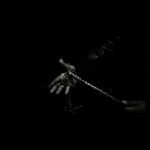 New Music Alert: Da.Vinci Drops Visual for “Bianca Censori”